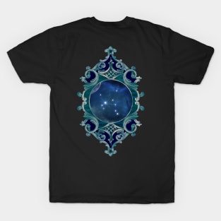 Zodiac sings Sagittarius T-Shirt